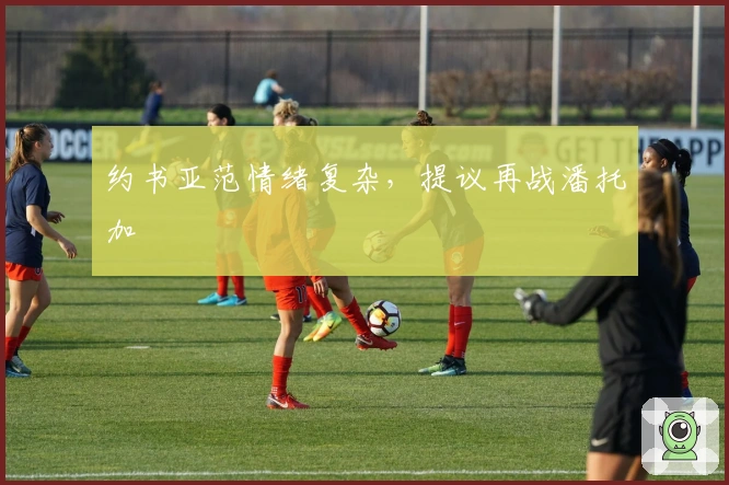 约书亚范情绪复杂，提议再战潘托加